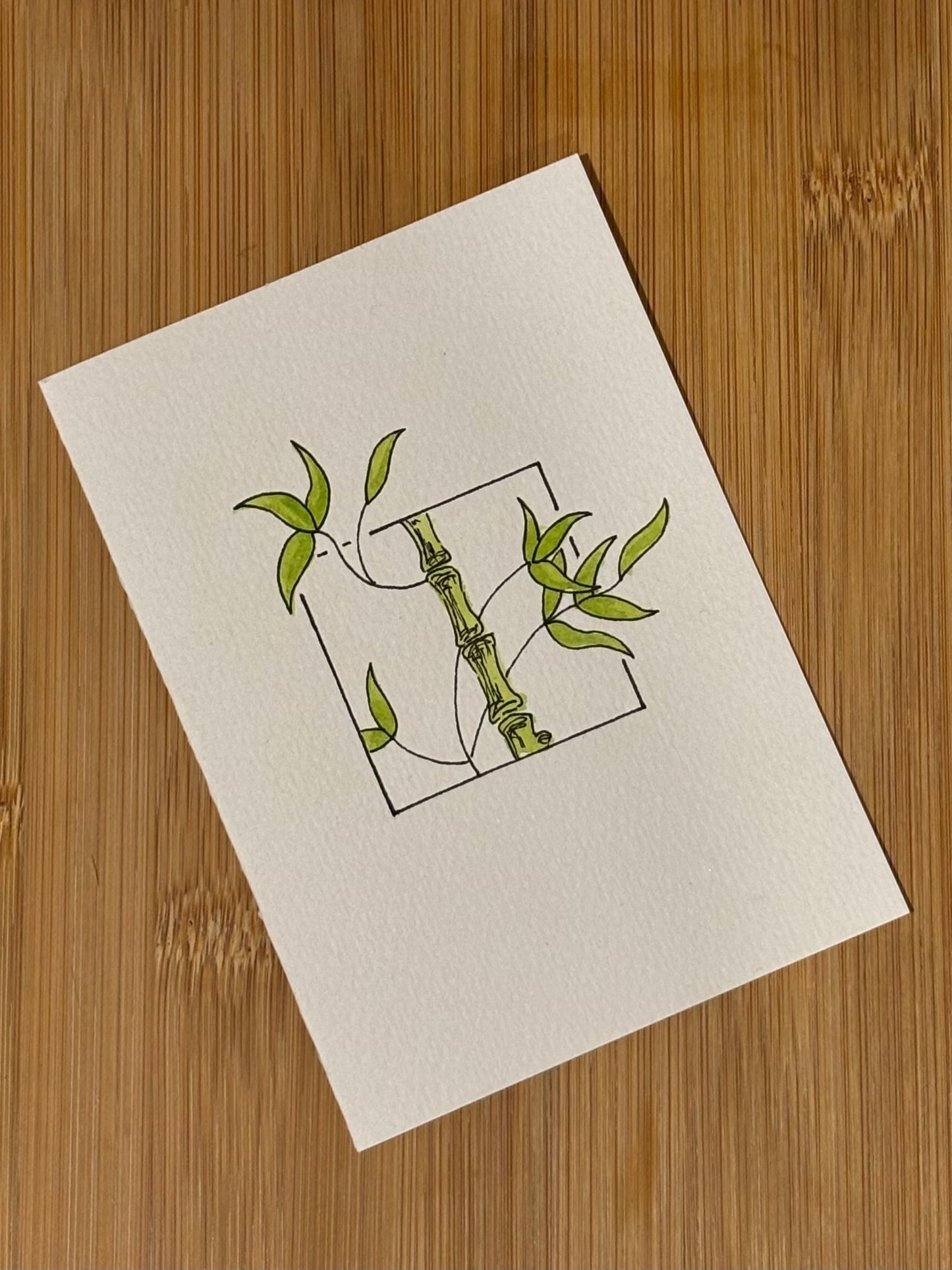Lucky Bamboo