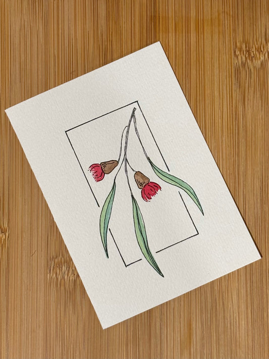 Eucalyptus