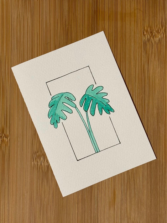 Monstera