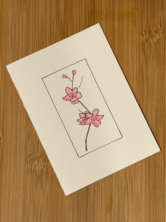 Cherry Blossoms